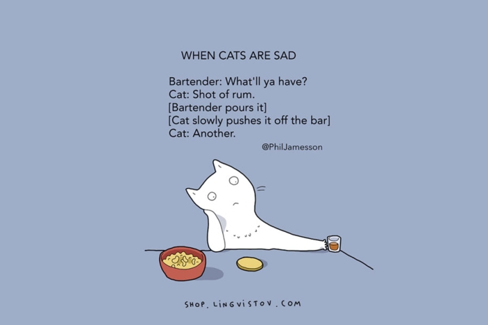 funny-15-illustrated-cat-truths-lingvistov-8