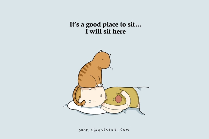 funny-15-illustrated-cat-truths-lingvistov-6