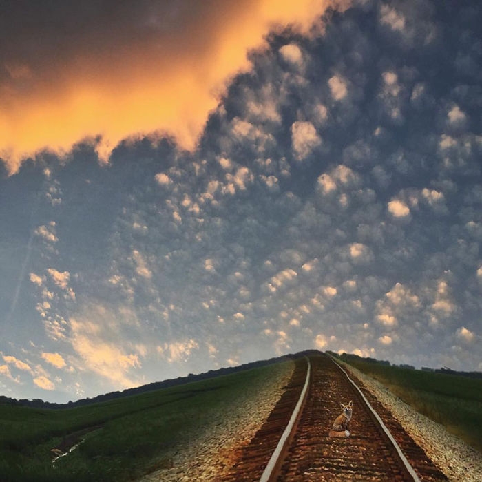surreal-mississippi-south-photography-iphone-melissa-vincent-X1