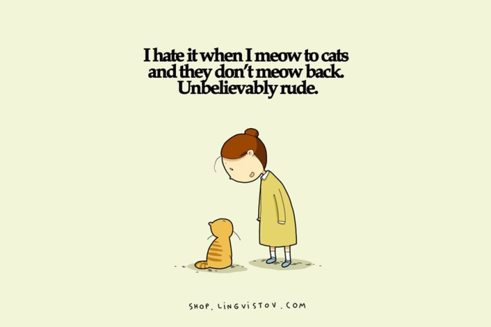 funny-15-illustrated-cat-truths-lingvistov-9