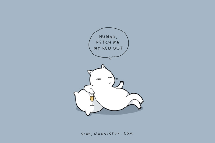 funny-15-illustrated-cat-truths-lingvistov-10