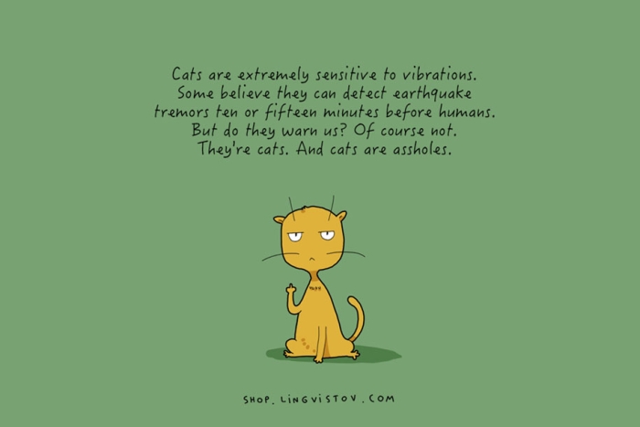funny-15-illustrated-cat-truths-lingvistov-12