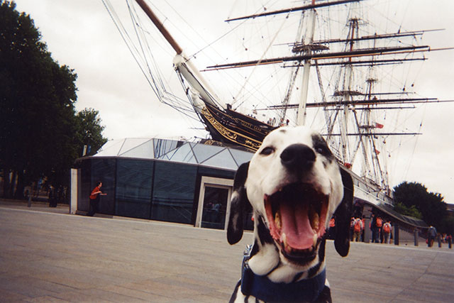 100 Cameras Given To The Homeless People In London And This Is The Result