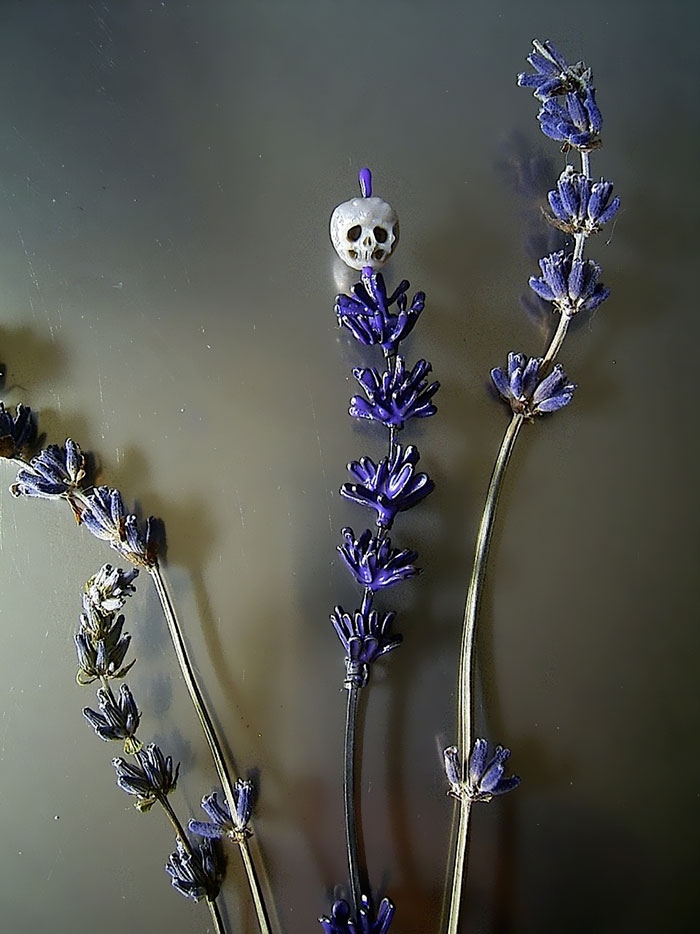 pearls-carved-skulls-shinji-nakaba-1