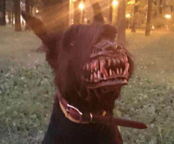 scary-dog-muzzle-werewolf-zveryatam-russia-3