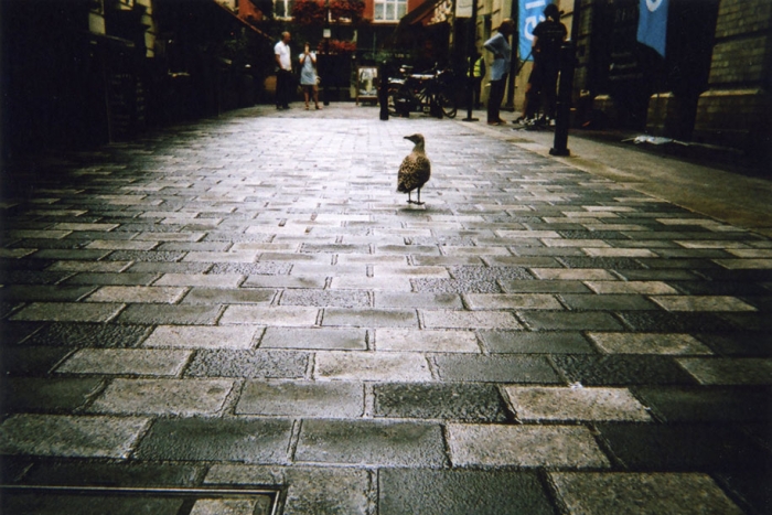 homeless-photography-2016-my-london-calendar-cafe-art-7