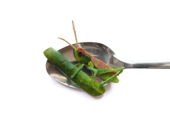 detailed-food-art-spoon-ioana-vanc-romania-15