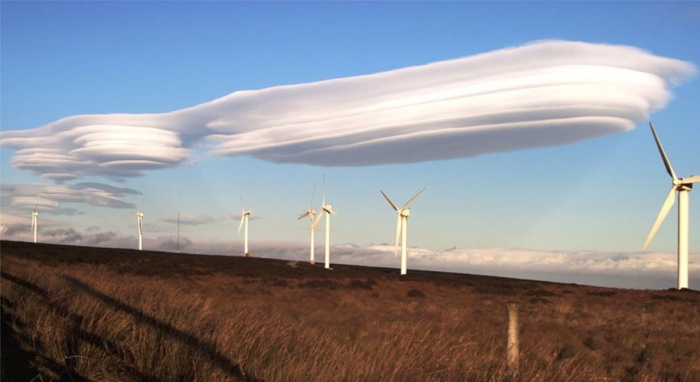 bizarre-strange-real-images-not-photoshop-12
