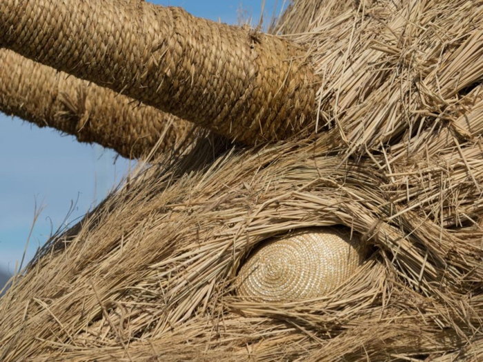 dinosaur-straw-sculptures-wara-art-festival-2015-niigata-japan-677