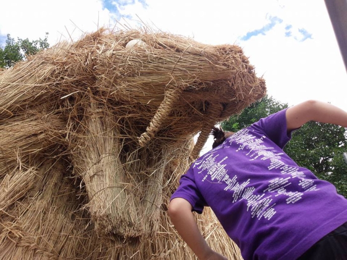 dinosaur-straw-sculptures-wara-art-festival-2015-niigata-japan-12