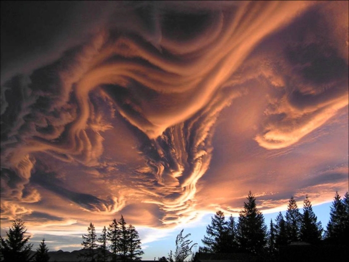 bizarre-strange-real-images-not-photoshop-11