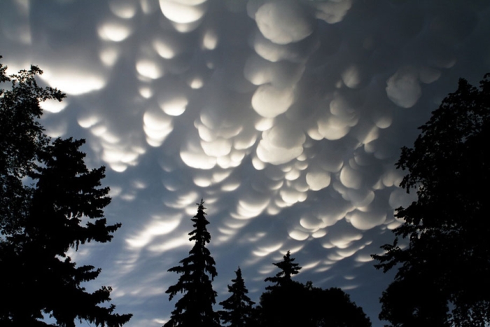 bizarre-strange-real-images-not-photoshop-13