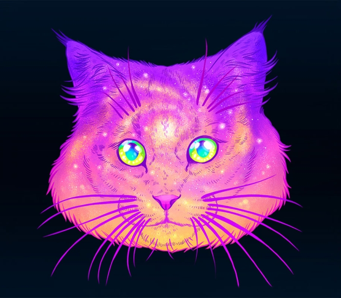 colorful-space-felines-galactic-cats-jen-bartel-1
