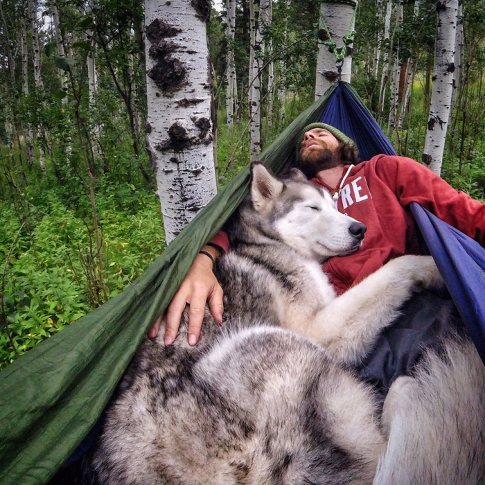 dog-nature-photography-loki-wolfdog-kelly-lund-34