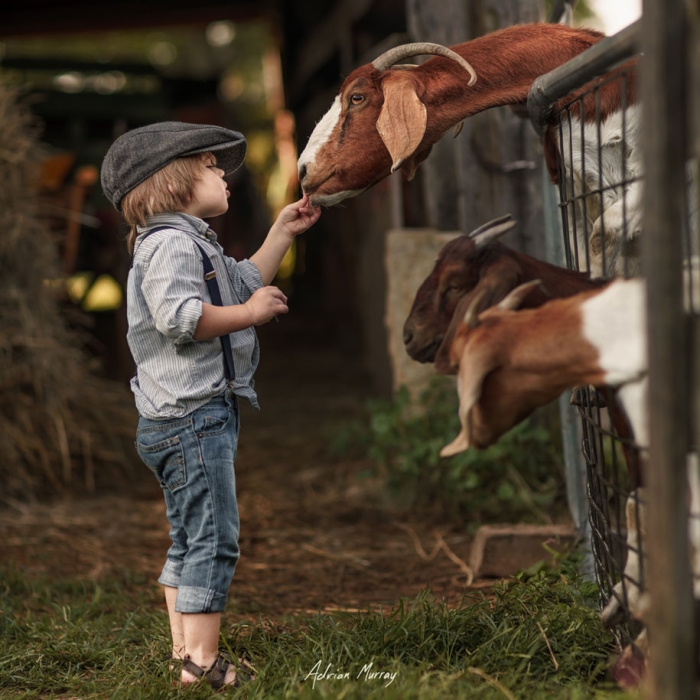 idyllic-summer-pictures-my-children-adrian-murray-30