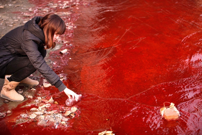 Water pollution