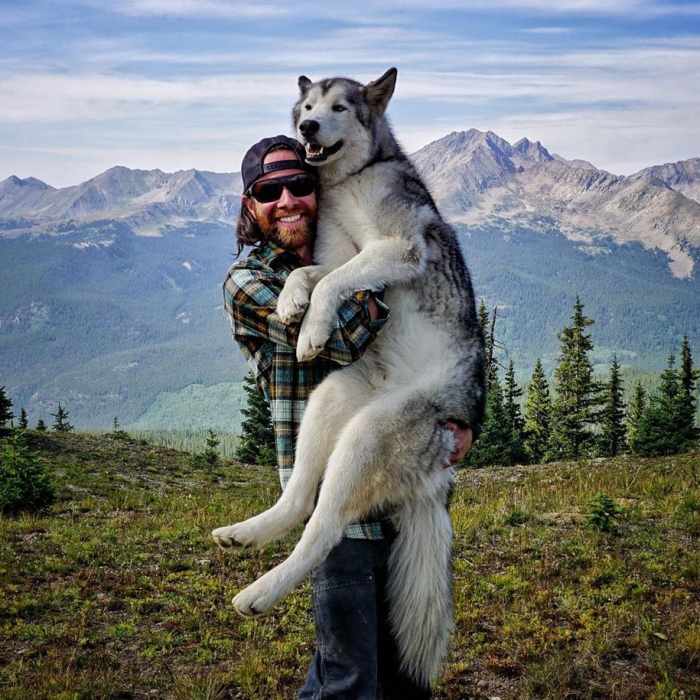 dog-nature-photography-loki-wolfdog-kelly-lund-11