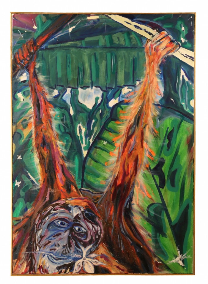 Orangutan