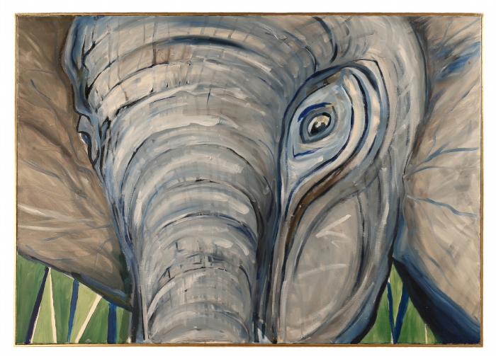 Borneo Elephant / Gajah Kalimantan