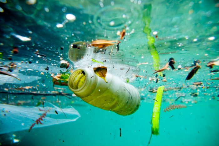 Water pollution