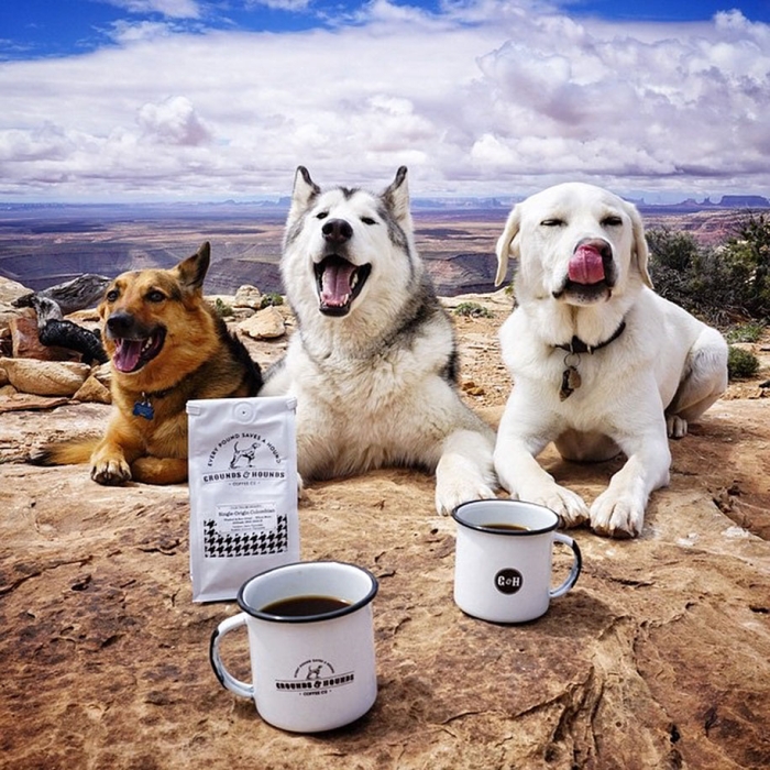 dog-nature-photography-loki-wolfdog-kelly-lund-33