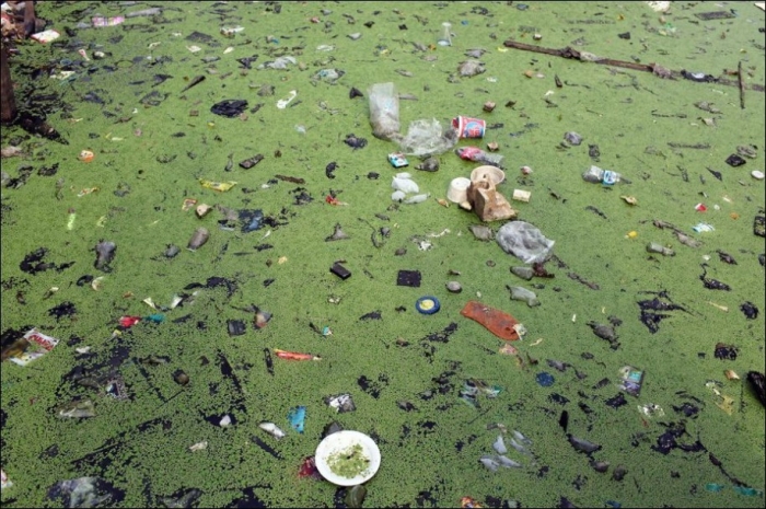 Water pollution