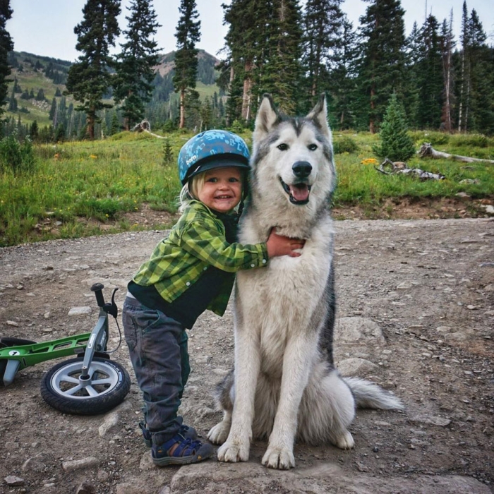 dog-nature-photography-loki-wolfdog-kelly-lund-23