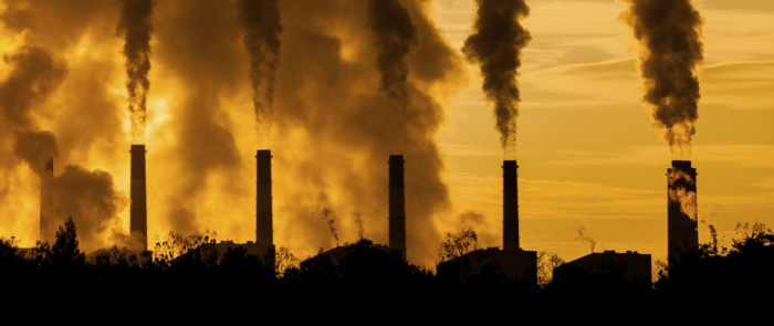 factory plants