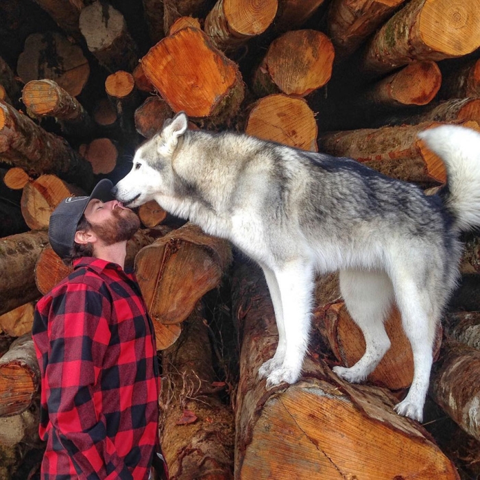 dog-nature-photography-loki-wolfdog-kelly-lund-30