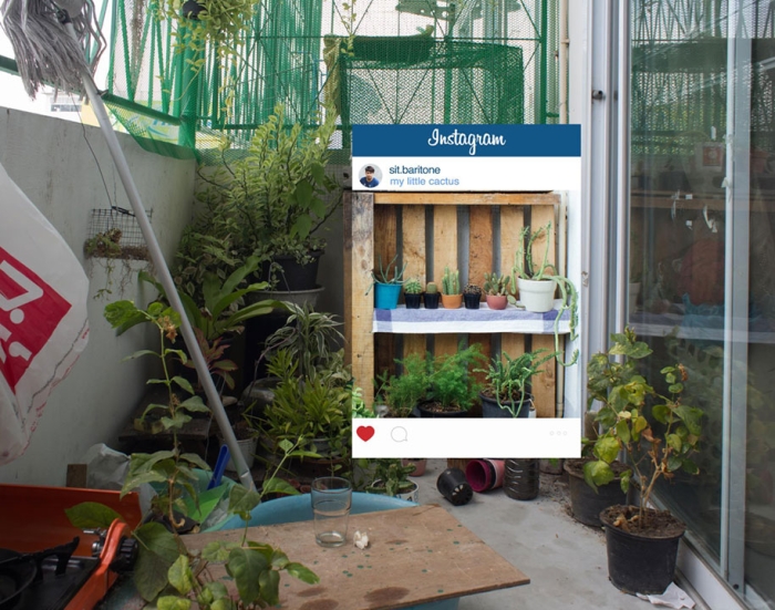 instagram-picture-cropping-truth-slowlife-chompoo-baritone-thailand-10