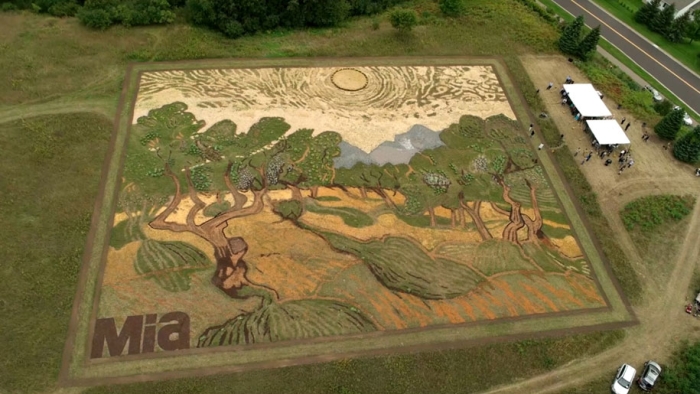 eathworks-seed-art-van-gogh-olive-trees-field-stan-herd-minneapolis-20