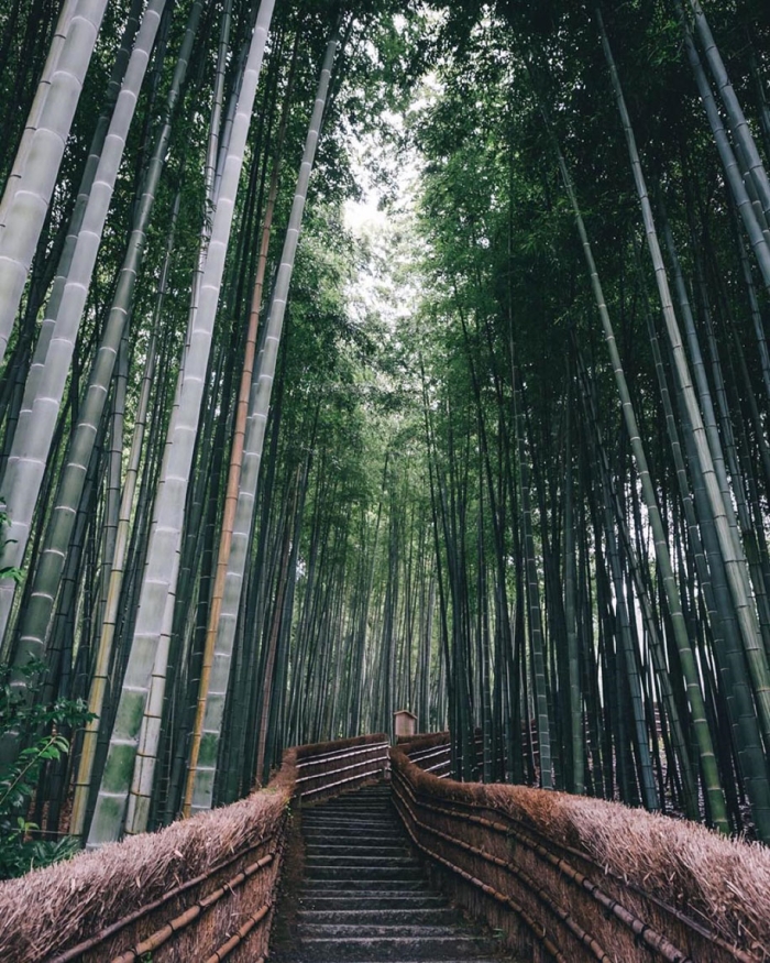 everyday-magic-street-photos-kyoto-takashi-yasui-japan-15