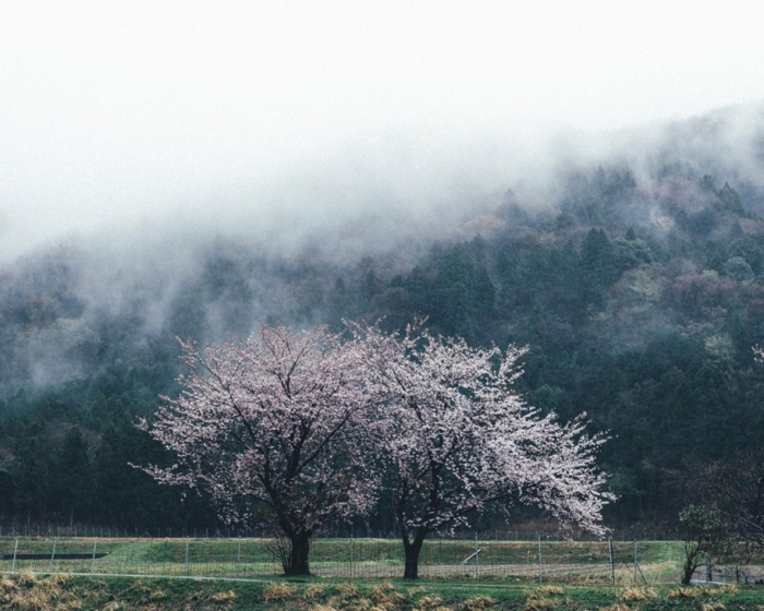 everyday-magic-street-photos-kyoto-takashi-yasui-japan-12