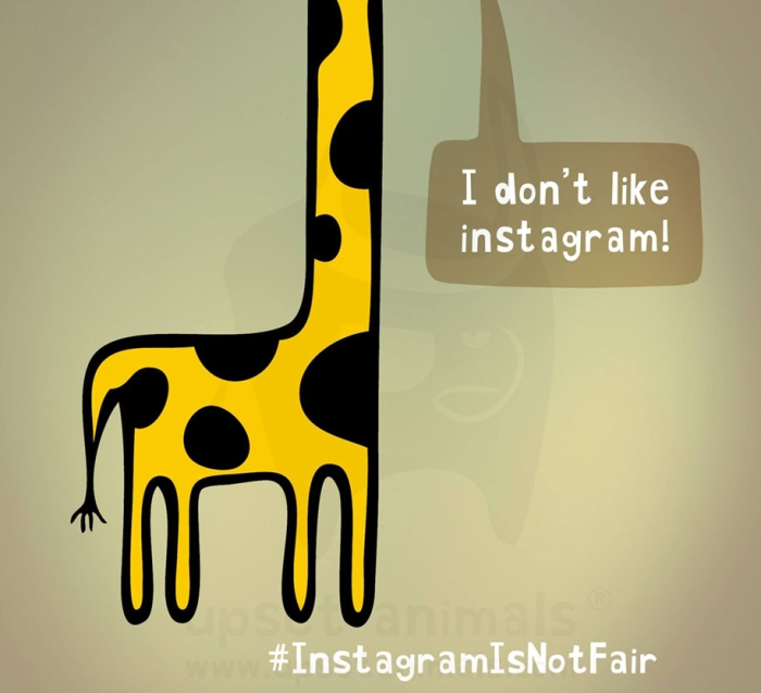 funny-problems-illustration-upset-animals-ricardo-cabrita-15