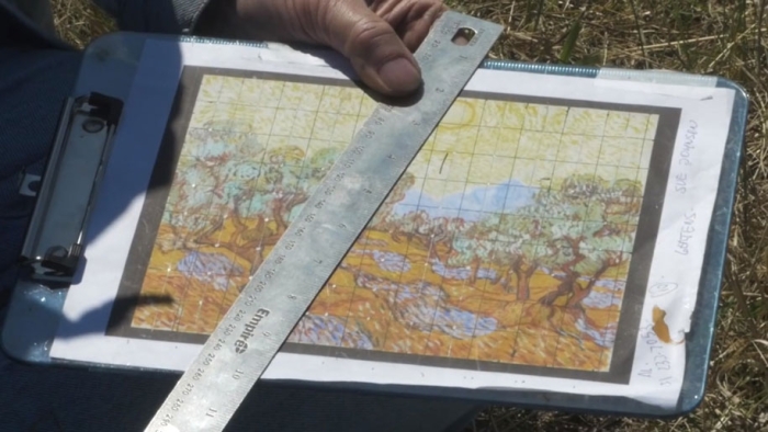 eathworks-seed-art-van-gogh-olive-trees-field-stan-herd-minneapolis-11