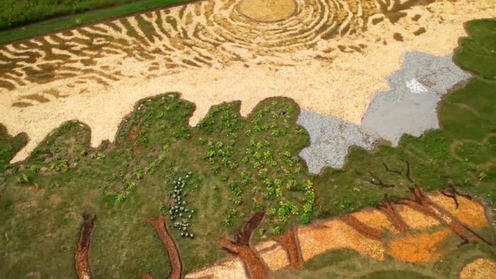 eathworks-seed-art-van-gogh-olive-trees-field-stan-herd-minneapolis-29