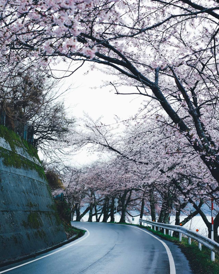 everyday-magic-street-photos-kyoto-takashi-yasui-japan-11