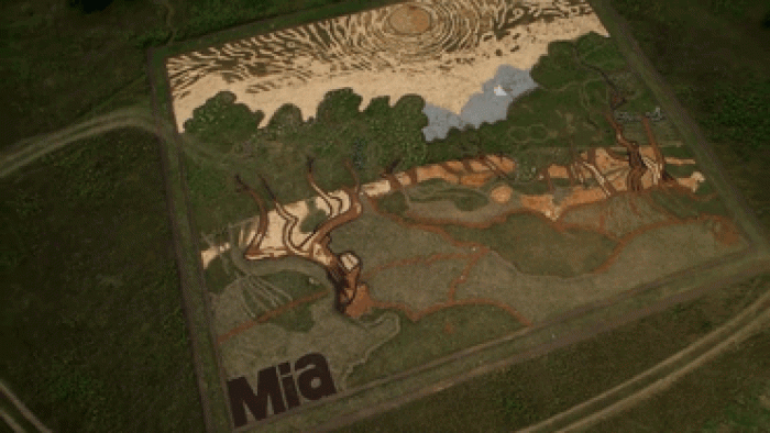 eathworks-seed-art-van-gogh-olive-trees-field-stan-herd-minneapolis-gif1