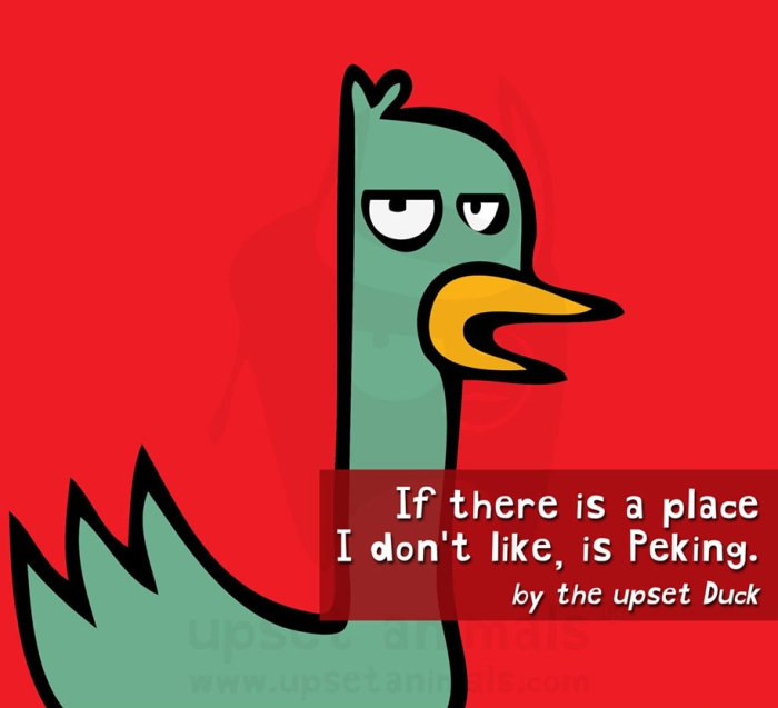 funny-problems-illustration-upset-animals-ricardo-cabrita-9