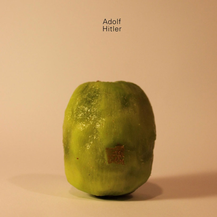 celebrities-politicians-carved-kiwi-fruit-anthony-chidiac-7