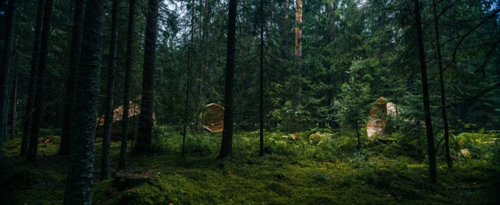 sounds-nature-forest-giant-megaphones-birgit-oigus-estonia-4