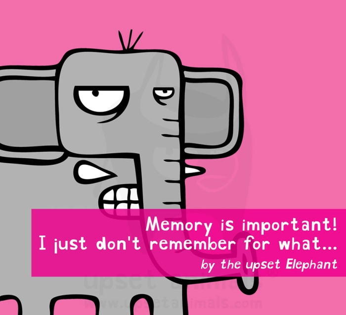 funny-problems-illustration-upset-animals-ricardo-cabrita-13