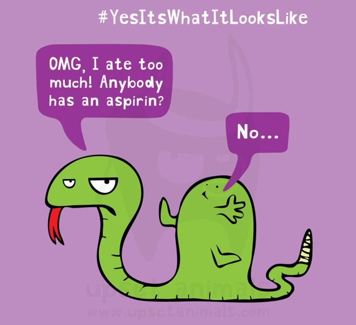 funny-problems-illustration-upset-animals-ricardo-cabrita-2