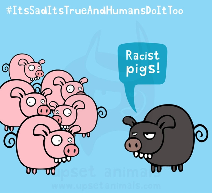 funny-problems-illustration-upset-animals-ricardo-cabrita-3