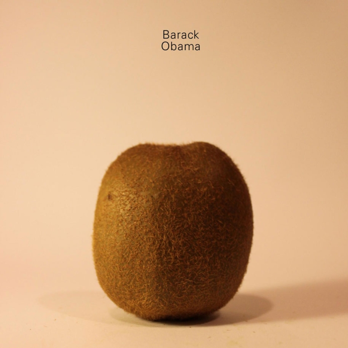 celebrities-politicians-carved-kiwi-fruit-anthony-chidiac-18