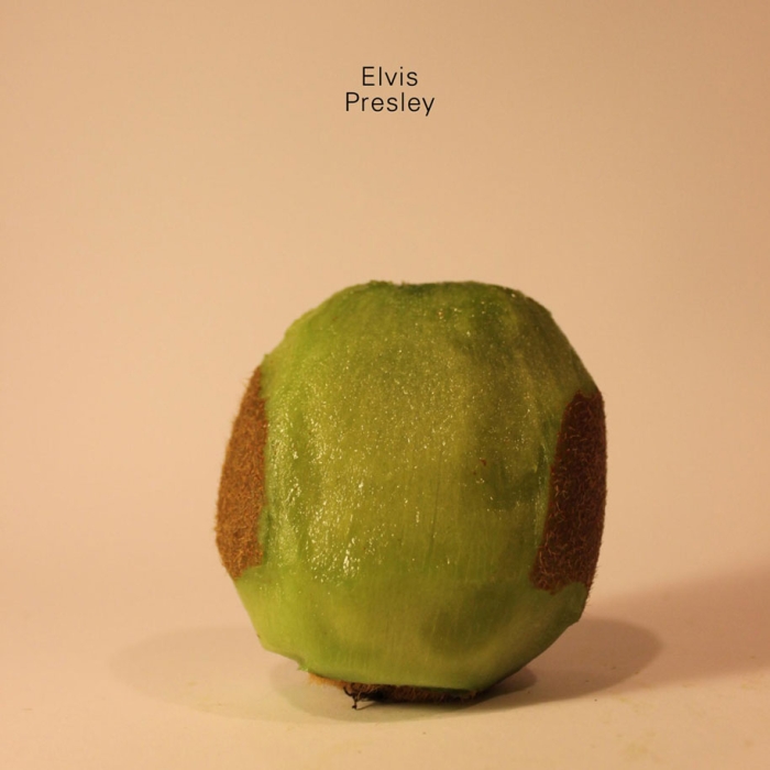 celebrities-politicians-carved-kiwi-fruit-anthony-chidiac-27