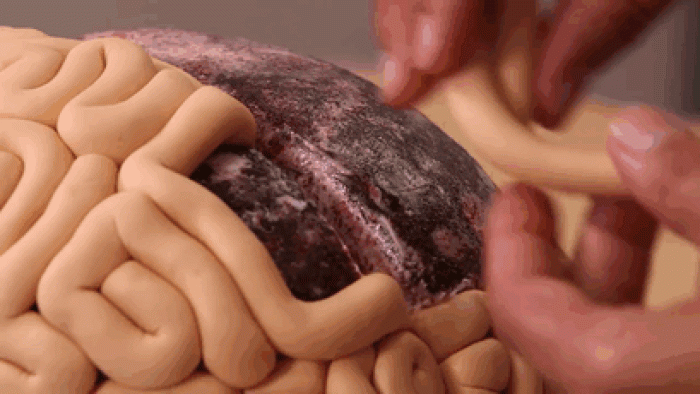 zombies-walking-dead-human-brain-cake-yolanda-gampp-how-to-cake-it-23