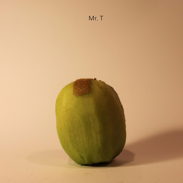 celebrities-politicians-carved-kiwi-fruit-anthony-chidiac-8