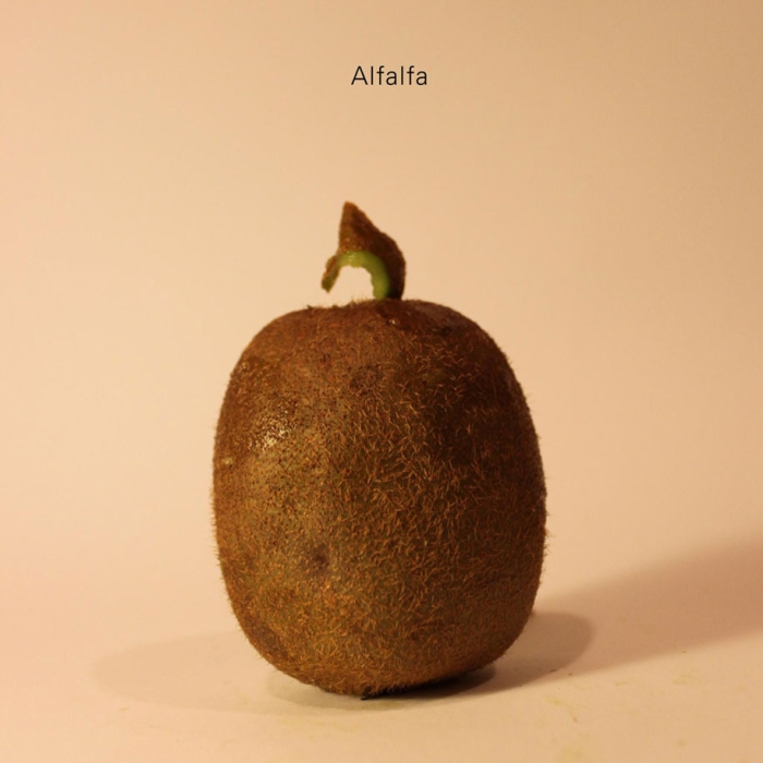 celebrities-politicians-carved-kiwi-fruit-anthony-chidiac-3