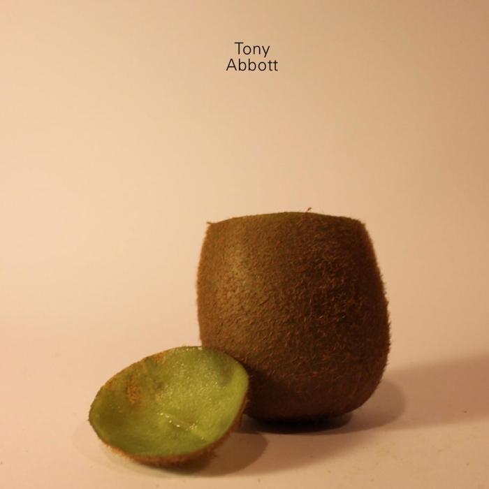 celebrities-politicians-carved-kiwi-fruit-anthony-chidiac-23